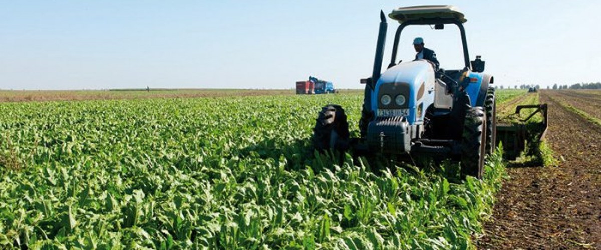 L’agriculture De Demain